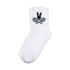 TC | Psycho Bunny Socks